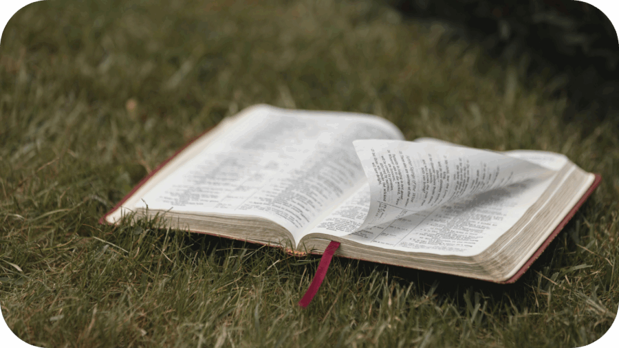 Muitos não sabem que há apps cristãos que oferecem figurinhas prontas para compartilhar fé no WhatsApp