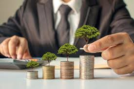Como Organizar Melhor As Finanças Pessoais Mensalmente